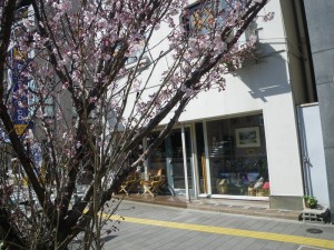 いつの間にか桜