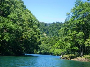2015年　7月　菅沼
